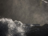Waterfalls at Walter Sisulu Botanical Gardens