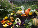 Vegetable Varieties at the Seed Savers Exchange