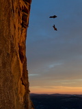Climbers Base Jump from Half Dome and Hike Down the Back of the Mountain
