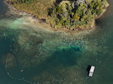 Aerial of Florida Manatees Gathered Near Kings Spring