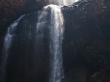 Waterfalls at Walter Sisulu Botanical Gardens