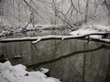 Falling Snow Outlines a Log across Rock Creek During Blizzard of 2010