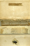Book Cover 23
