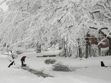 A Man Shoveling a Path in the Snow as His Pet Dog Relaxes