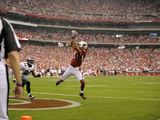 NFC Championship Football: Glendale  ARIZONA - Larry Fitzgerald