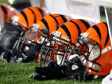 Bengals Patriots Football: Foxborough  MASSACHUSETTS - Cincinnati Bengals Helmets