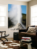 Lady Knox Geyser  Wai-O-Tapu Geothermal Area  Taupo Volcanic Zone  New Zealand