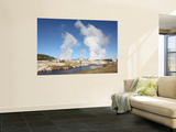 Steam Rising over Midway Geyser Basin Geothermal Area  Yellowstone National Park  Wyoming