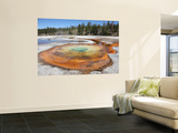 Chromatic Pool Hot Spring  Upper Geyser Basin Geothermal Area  Yellowstone National Park  Wyoming