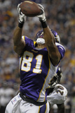 Ravens Vikings Football: Minneapolis  MN - Visanthe Shiancoe