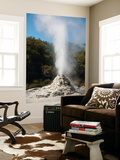 Lady Knox Geyser Erupting  Wai-O-Tapu Geothermal Area  Taupo Volcanic Zone  New Zealand