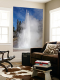 Grand Geyser Erupting  Upper Geyser Basin Geothermal Area  Yellowstone National Park