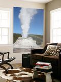 Castle Geyser Eruption  Upper Geyser Basin Geothermal Area  Yellowstone National Park  Wyoming