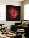 The Rosette Nebula
