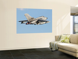 An Italian Air Force Panavia Tornado Ecr