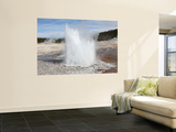 Plume Geyser Eruption  Upper Geyser Basin Geothermal Area  Yellowstone National Park  Wyoming