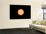 Sunspots on the Sun's Surface