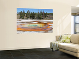 Chromatic Pool Hot Spring  Upper Geyser Basin Geothermal Area  Yellowstone National Park  Wyoming