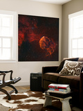 The Jellyfish Nebula
