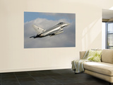A Eurofighter 2000 Typhoon of the Italian Air Force