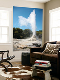 Lady Knox Geyser  Wai-O-Tapu Geothermal Area  Taupo Volcanic Zone  New Zealand
