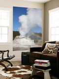 Castle Geyser Eruption  Upper Geyser Basin Geothermal Area  Yellowstone National Park  Wyoming