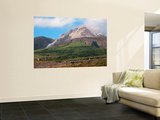 Ash and Gas Rising from Lava Dome of Soufriere Hills Volcano  Montserrat  Caribbean