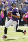 Bengals Ravens Football: Baltimore  MD - Joe Flacco