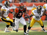 Steelers Bengals Football: Cincinnati  OH - Cedric Benson