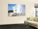 Pohutu and Prince of Wales Feathers Geyser  Whakarewarewa  Rotorua  New Zealand