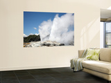 Pohutu and Prince of Wales Feathers Geyser  Whakarewarewa  Rotorua  New Zealand