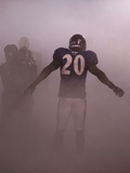 VIKINGS RAVENS FOOTBALL: BALTIMORE  MARYLAND - Ed Reed