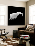 Asteroid 243 Ida
