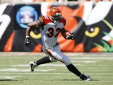 Broncos Bengals Football: Cincinnati  OH - Cedric Benson