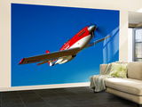 Strega  a Highly Modified P-51D Mustang Used in Unlimited Air Racing