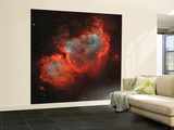 IC 1848  the Soul Nebula