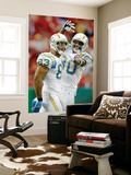 Chargers Chiefs Football: Kansas City  MO - Vincent Jackson
