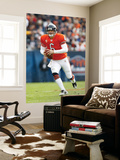 Browns Bears Football: Chicago  IL - Jay Cutler