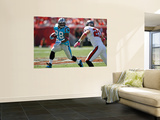 Panthers Buccaneers Football: Tampa  FL - Jonathan Stewart