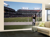 Bears Ravens Football: Baltimore  MD - Ray Lewis