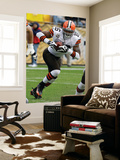 Browns Steelers Football: Pittsburgh  PA - Joshua Cribbs