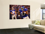 Cardinals Giants Football: East Rutherford  NJ - Brandon Jacobs