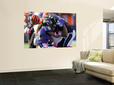 Bengals Ravens Football: Baltimore  MD - Ray Lewis