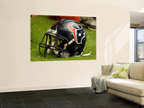 Texans Cardinals Football: Glendale  AZ - Houston Texans Helmet