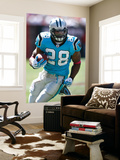 Panthers Buccaneers Football: Tampa  FL - Jonathan Stewart