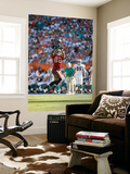 Buccaneers Dolphins Football: Miami  FL - Kellen Winslow