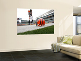 Steelers Bengals Football: Cincinnati  OH - Cedric Benson