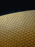 Microscopic View of Eye of Fly