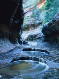 Riverbed  Zion National Park  Utah  USA