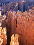 USA  Utah  Bryce Canyon